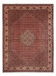 Bidjar - Bukan Tappeto 340x250cm - Tappeto persiano