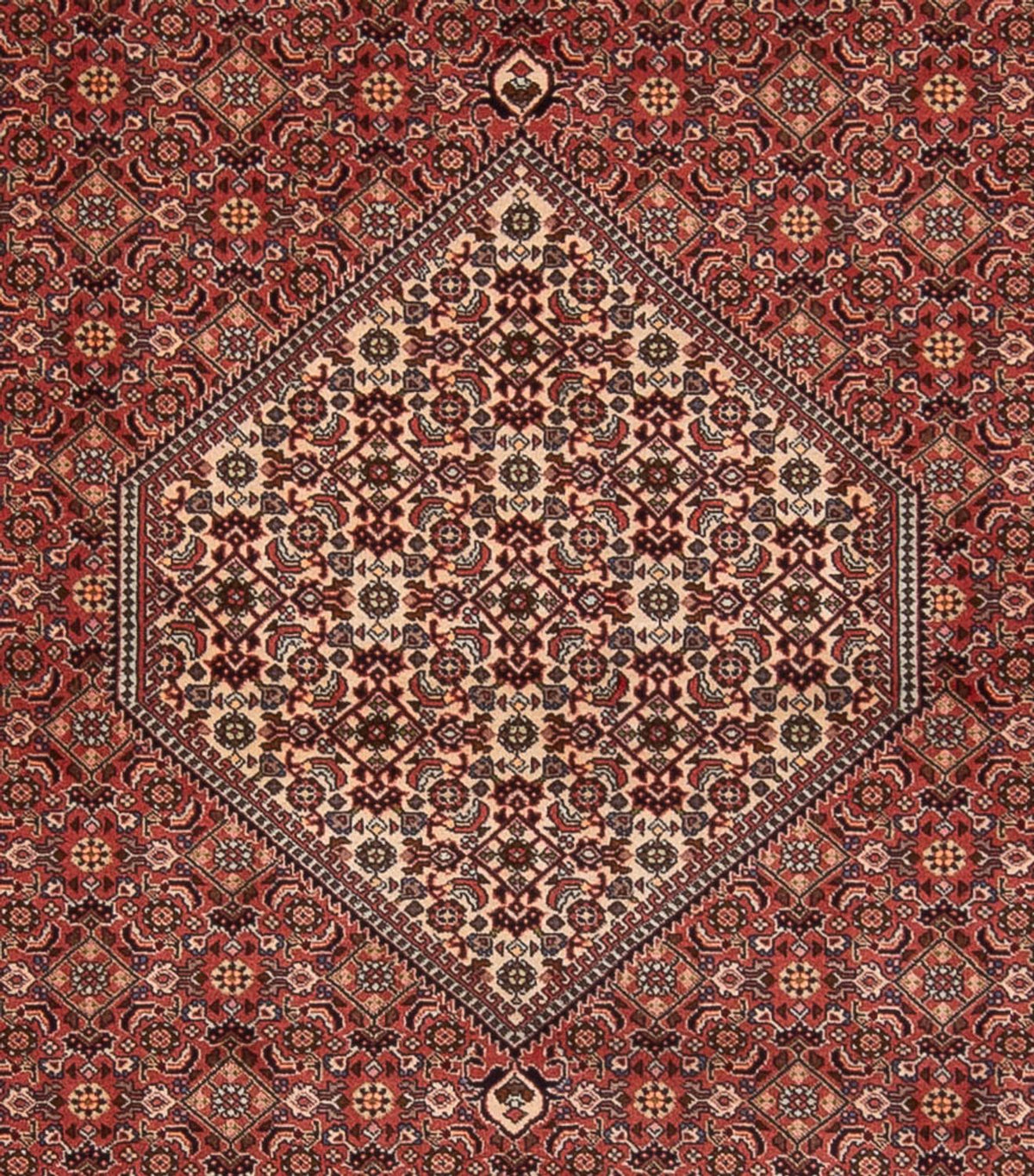 Tappeto Persero - Bidjar - 340 x 250 cm - rosso scuro