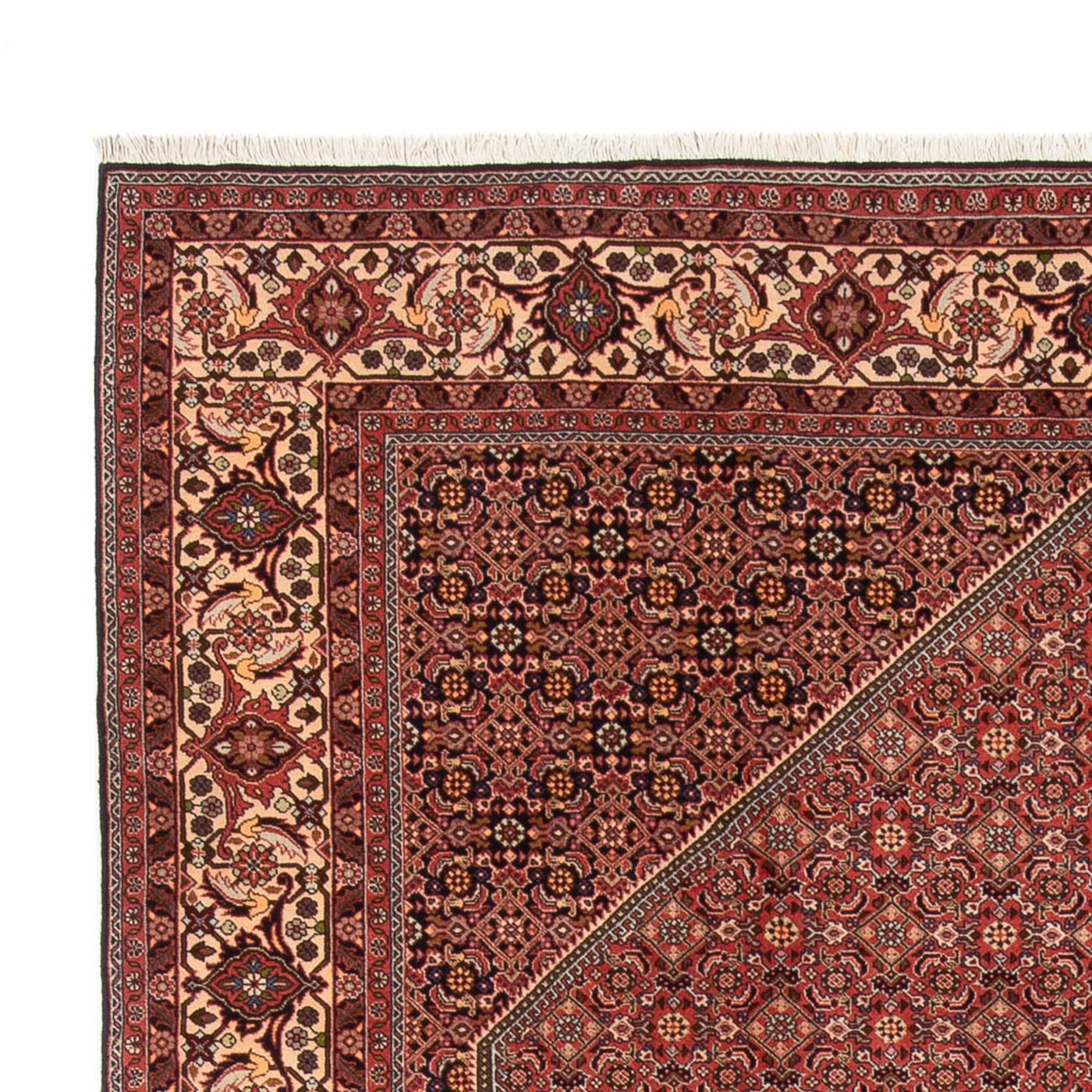 Bidjar - Bukan Tappeto 340x250cm - Tappeto persiano