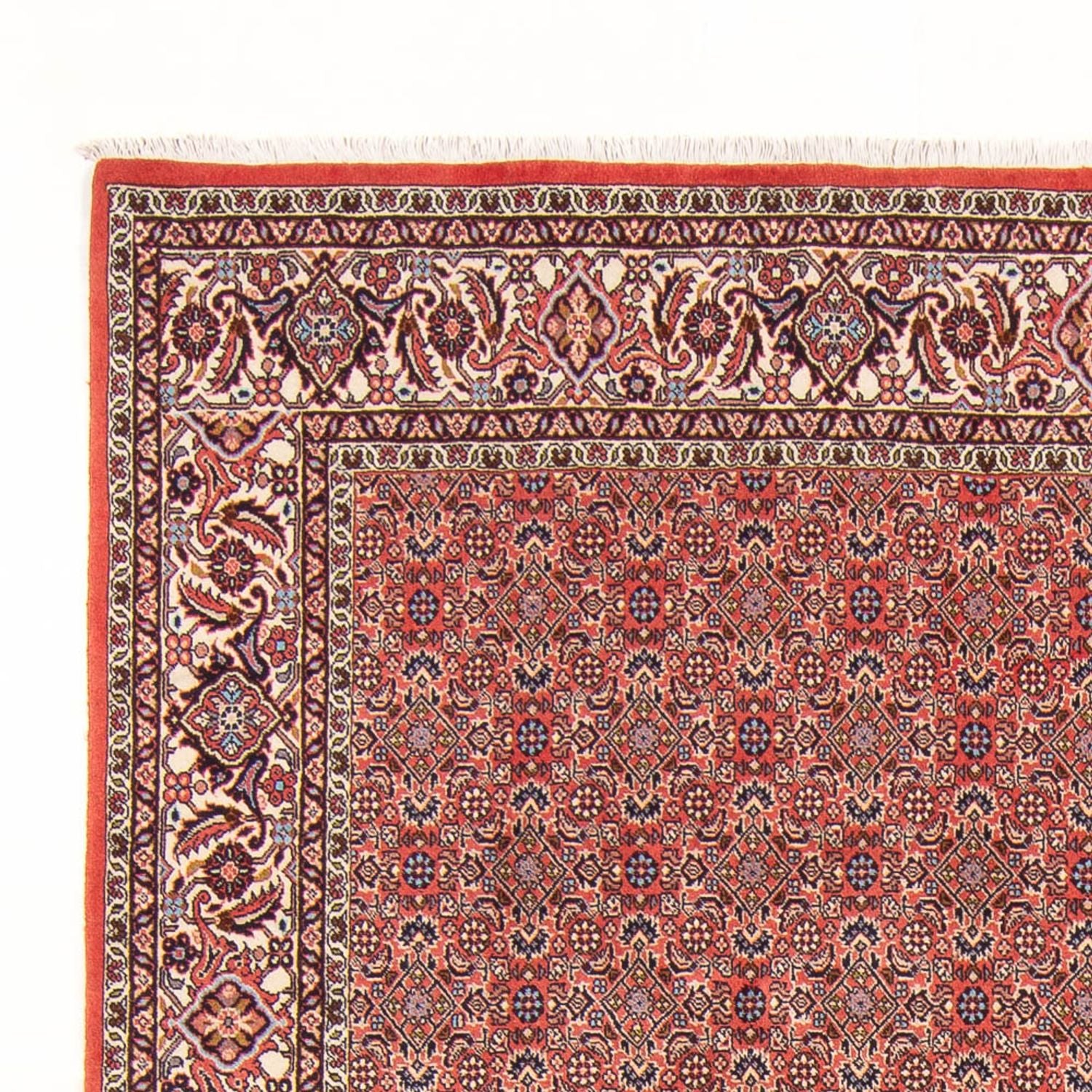 Tappeto Persero - Bidjar - 298 x 196 cm - rosso