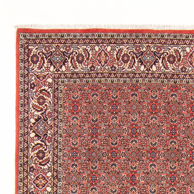 Tappeto Persero - Bidjar - 298 x 196 cm - rosso