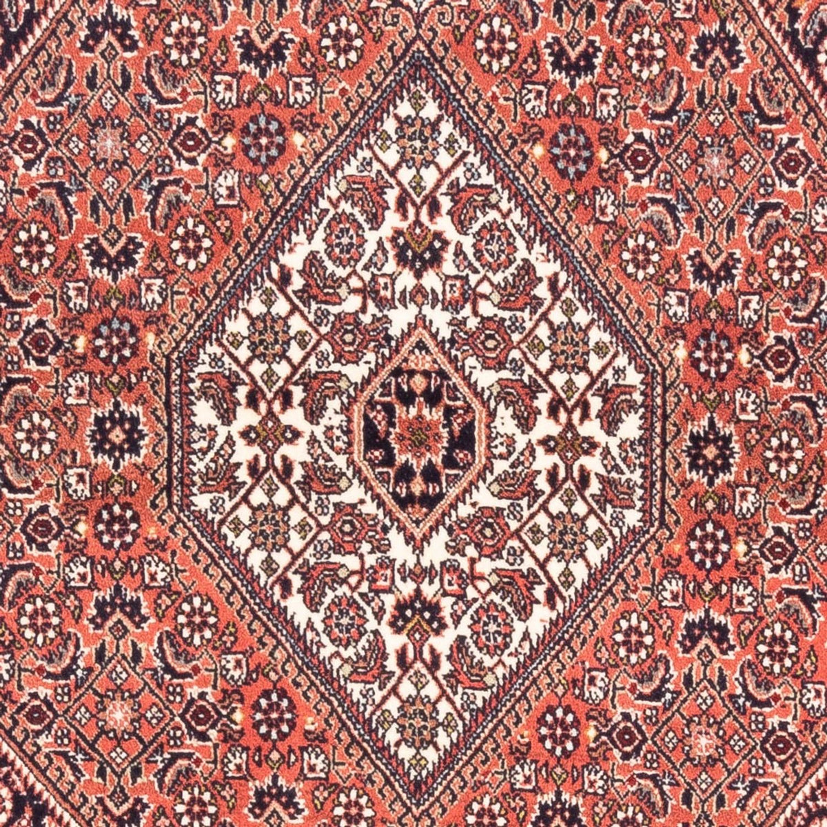 Tappeto Persero - Bidjar - 170 x 107 cm - rosso