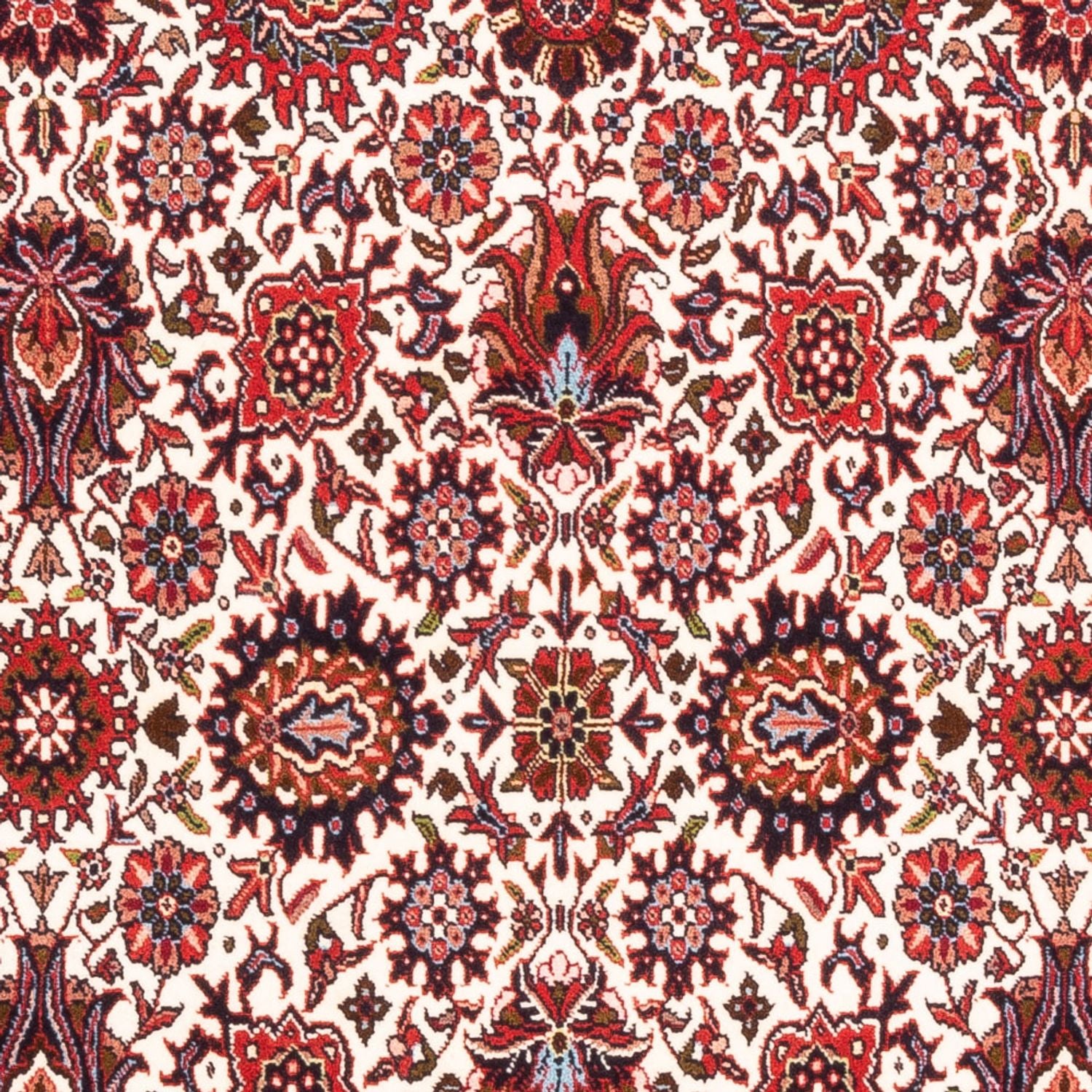 Tappeto Persero - Bidjar - 184 x 110 cm - crema