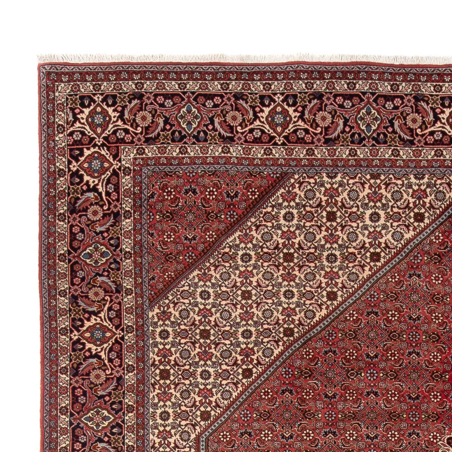 Tappeto Persero - Bidjar - 348 x 250 cm - rosso scuro