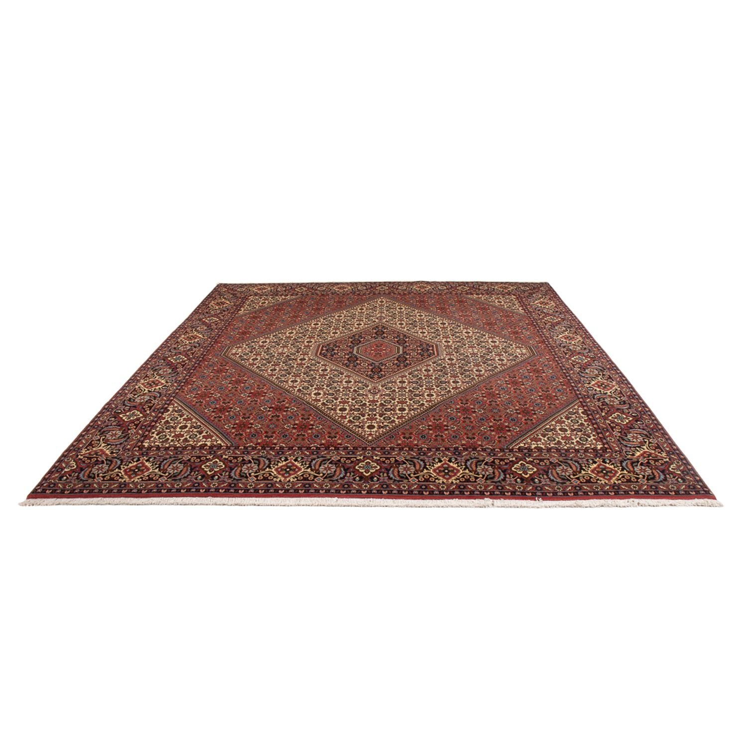 Tappeto Persero - Bidjar - 296 x 252 cm - crema