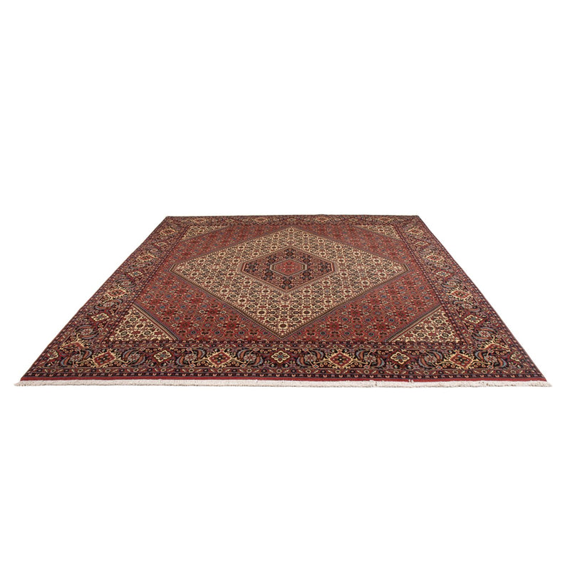 Tappeto Persero - Bidjar - 296 x 252 cm - crema