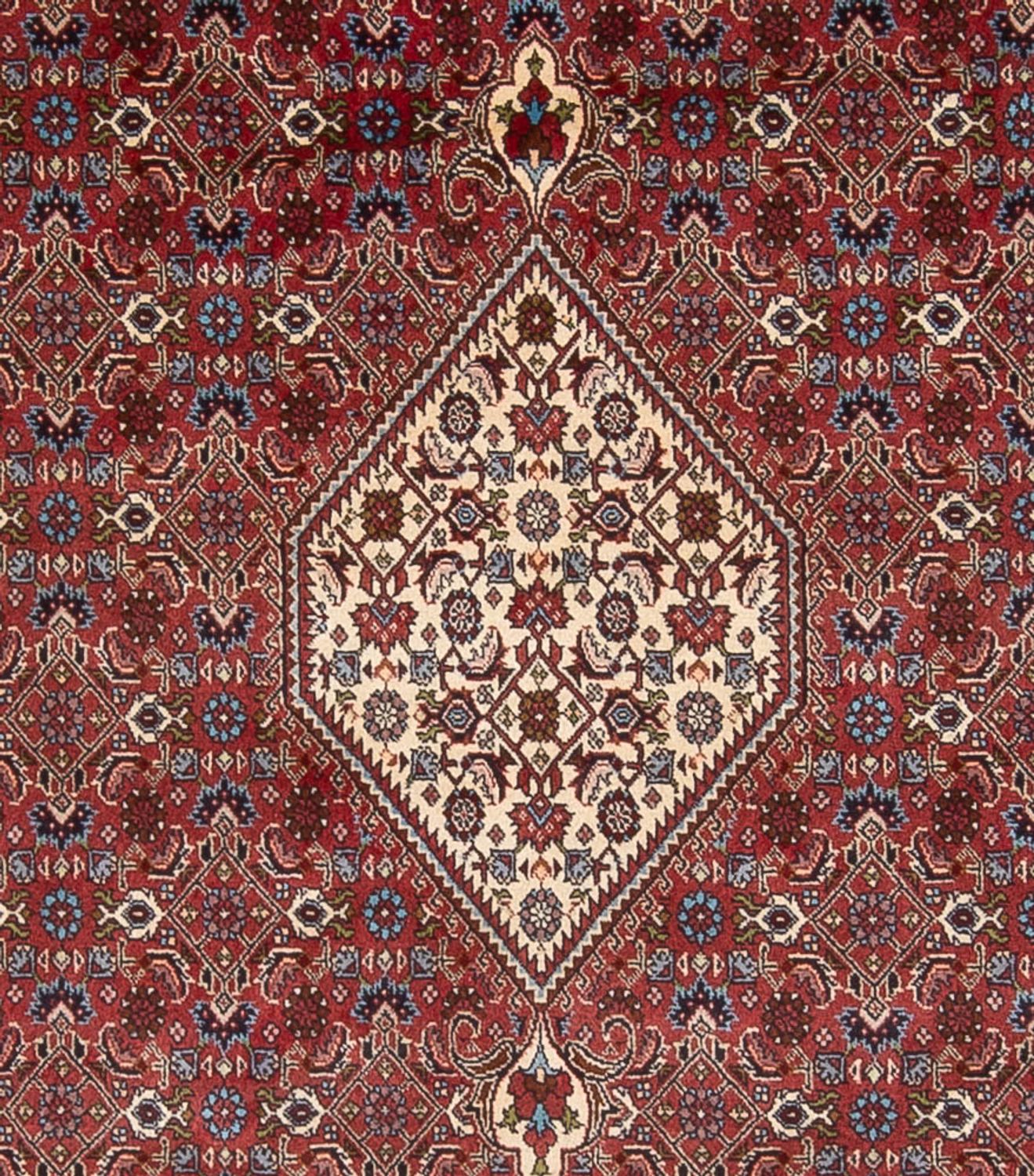 Tappeto Persero - Bidjar - 294 x 253 cm - rosso scuro