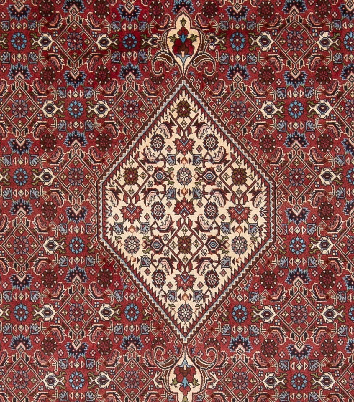 Tappeto Persero - Bidjar - 294 x 253 cm - rosso scuro
