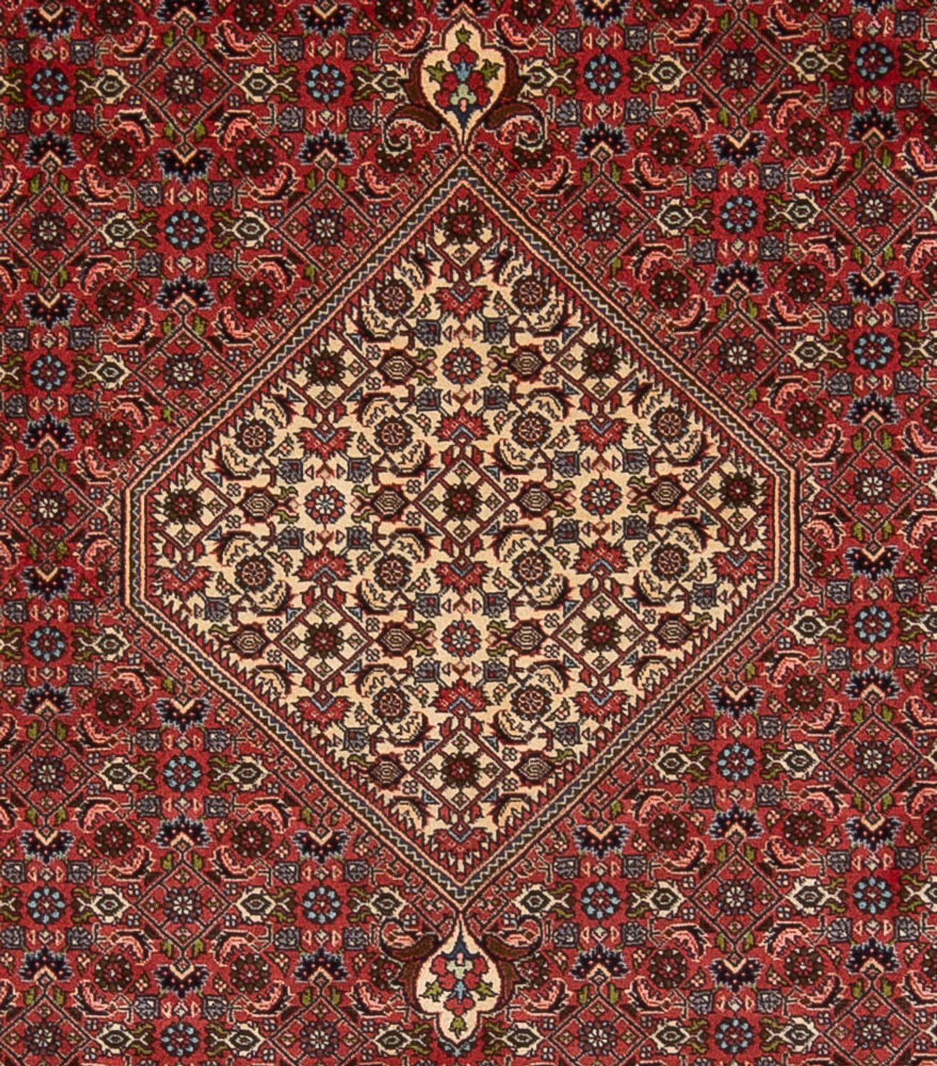 Tappeto Persero - Bidjar - 314 x 255 cm - rosso scuro