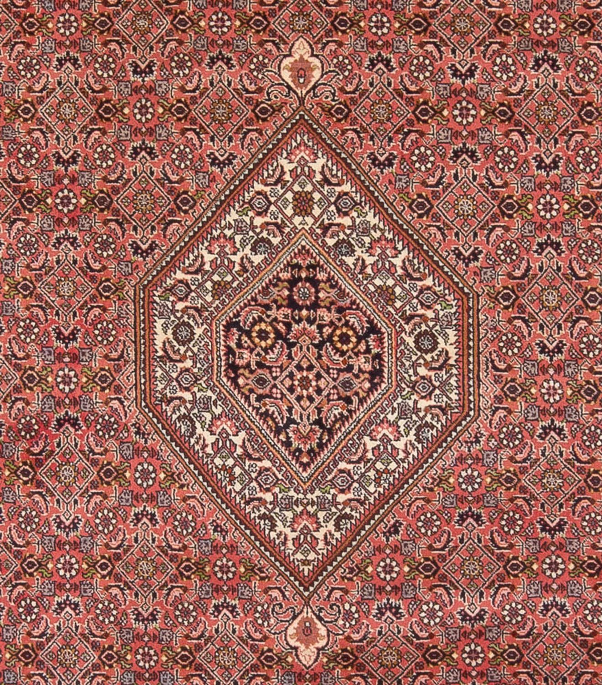 Tappeto Persero - Bidjar - 342 x 250 cm - rosso scuro
