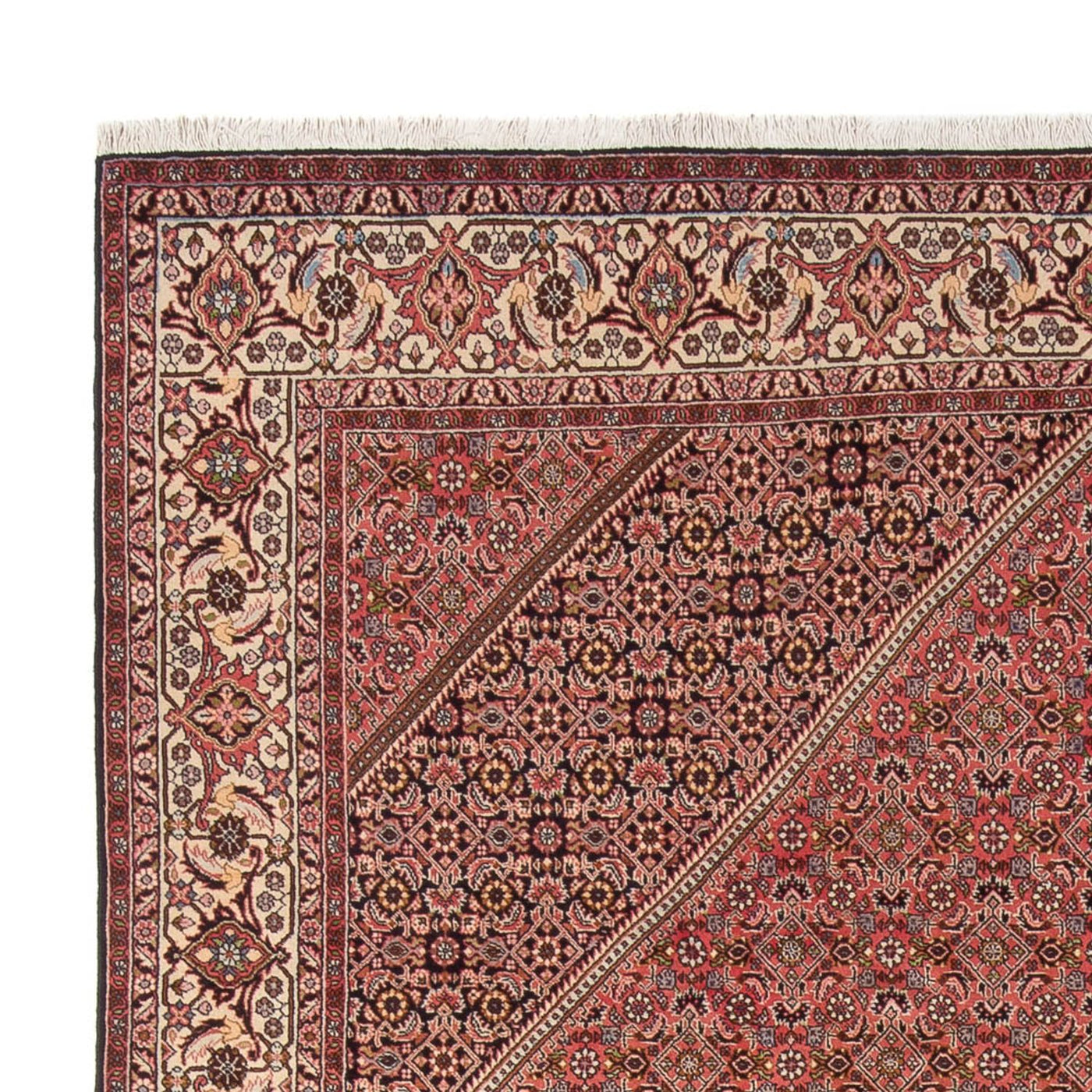 Bidjar - Bukan Tappeto 342x250cm - Tappeto persiano
