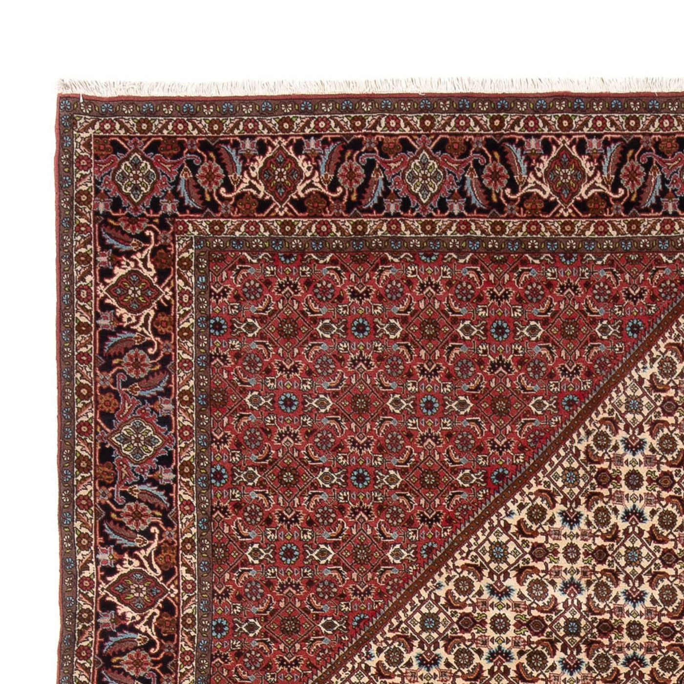 Bidjar - Bukan Tappeto 336x251cm - Tappeto persiano