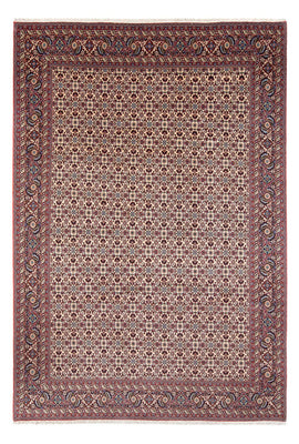 Tappeto Persero - Bidjar - 344 x 245 cm - crema