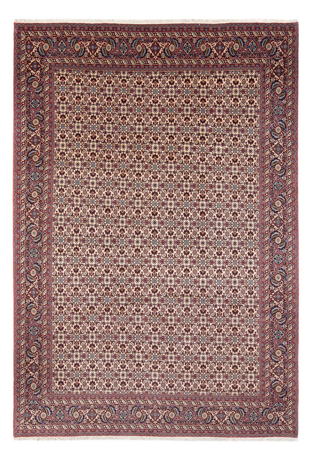 Tappeto Persero - Bidjar - 344 x 245 cm - crema
