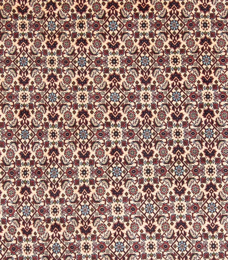 Tappeto Persero - Bidjar - 344 x 245 cm - crema