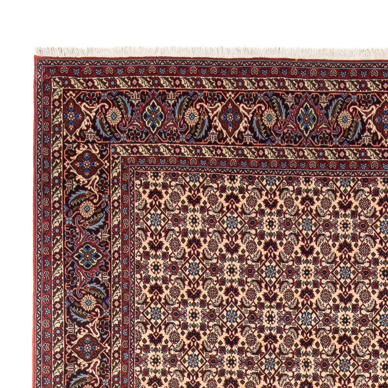 Tappeto Persero - Bidjar - 344 x 245 cm - crema