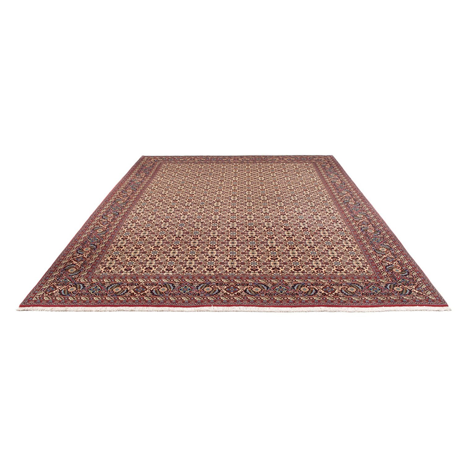 Tappeto Persero - Bidjar - 344 x 245 cm - crema