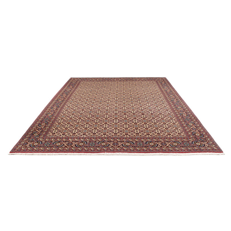 Tappeto Persero - Bidjar - 344 x 245 cm - crema