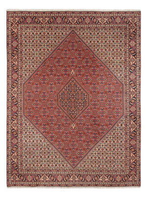 Tappeto Persero - Bidjar - 348 x 250 cm - rosso