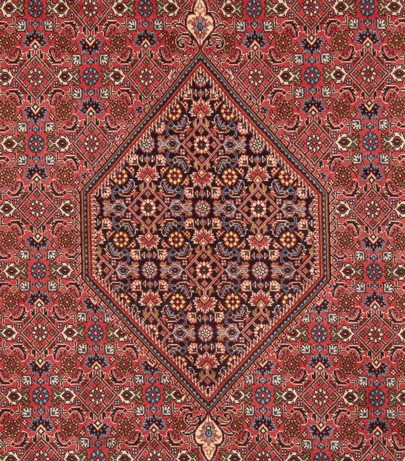 Tappeto Persero - Bidjar - 348 x 250 cm - rosso