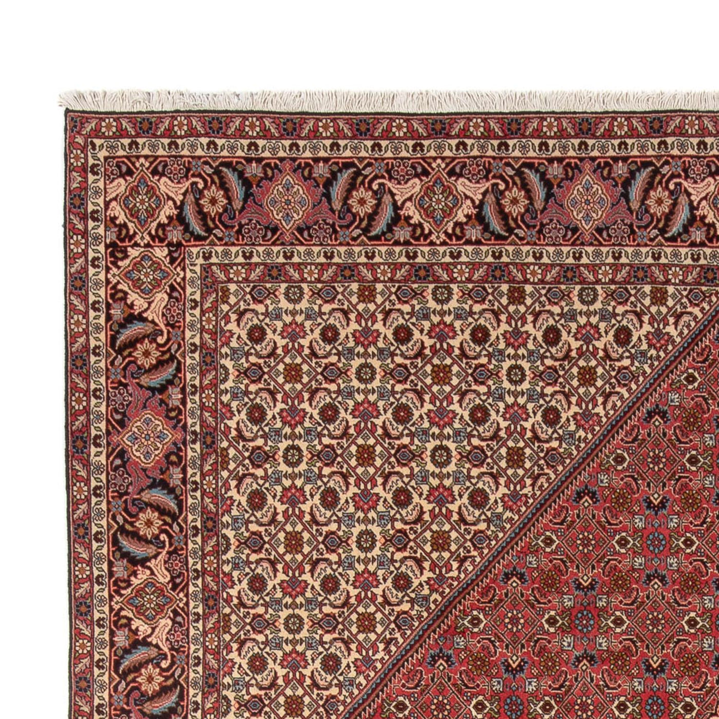 Bidjar - Bukan Tappeto 348x250cm - Tappeto persiano