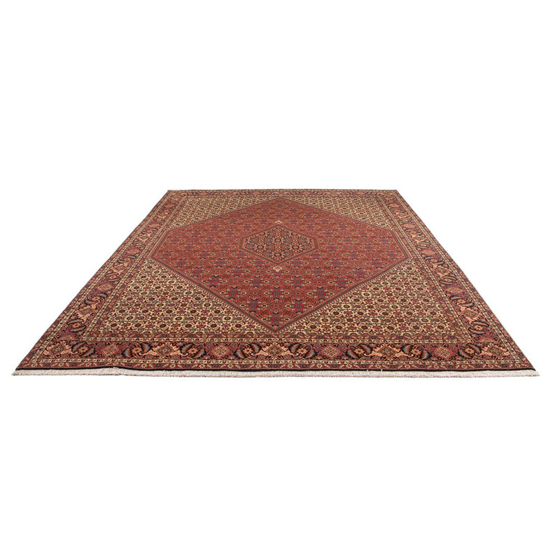 Tappeto Persero - Bidjar - 348 x 250 cm - rosso