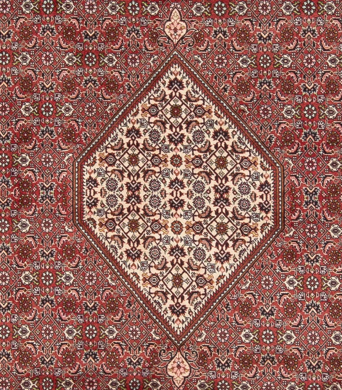 Tappeto Persero - Bidjar - 343 x 250 cm - rosso scuro