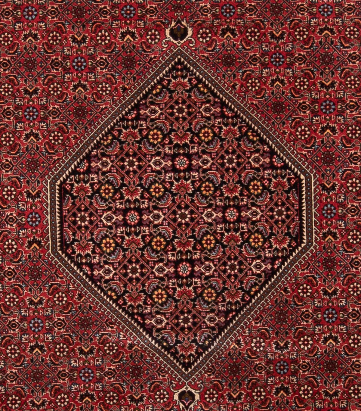 Tappeto Persero - Bidjar - 347 x 247 cm - rosso