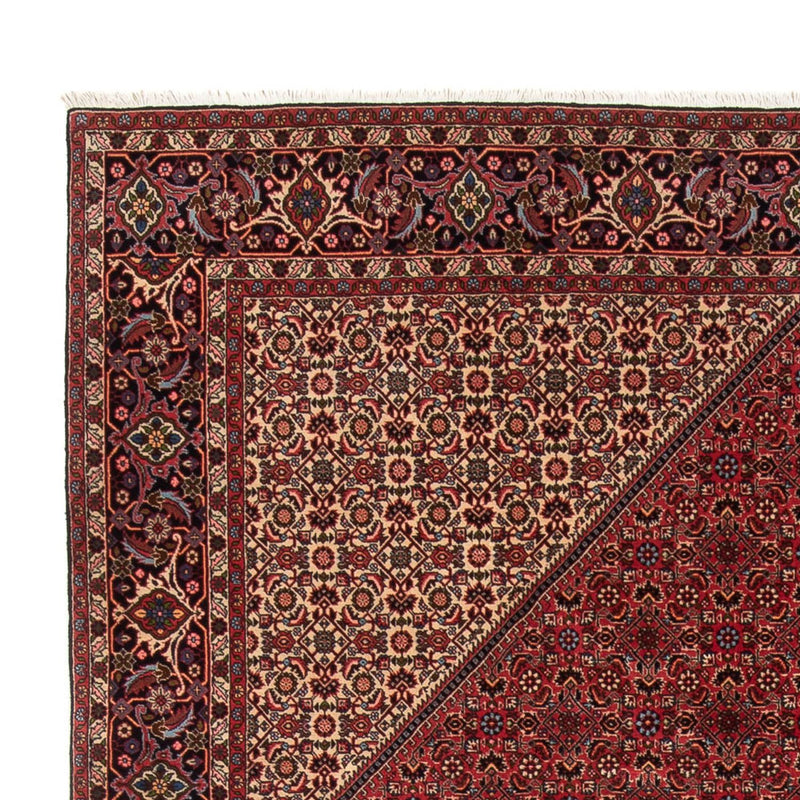 Tappeto Persero - Bidjar - 347 x 247 cm - rosso