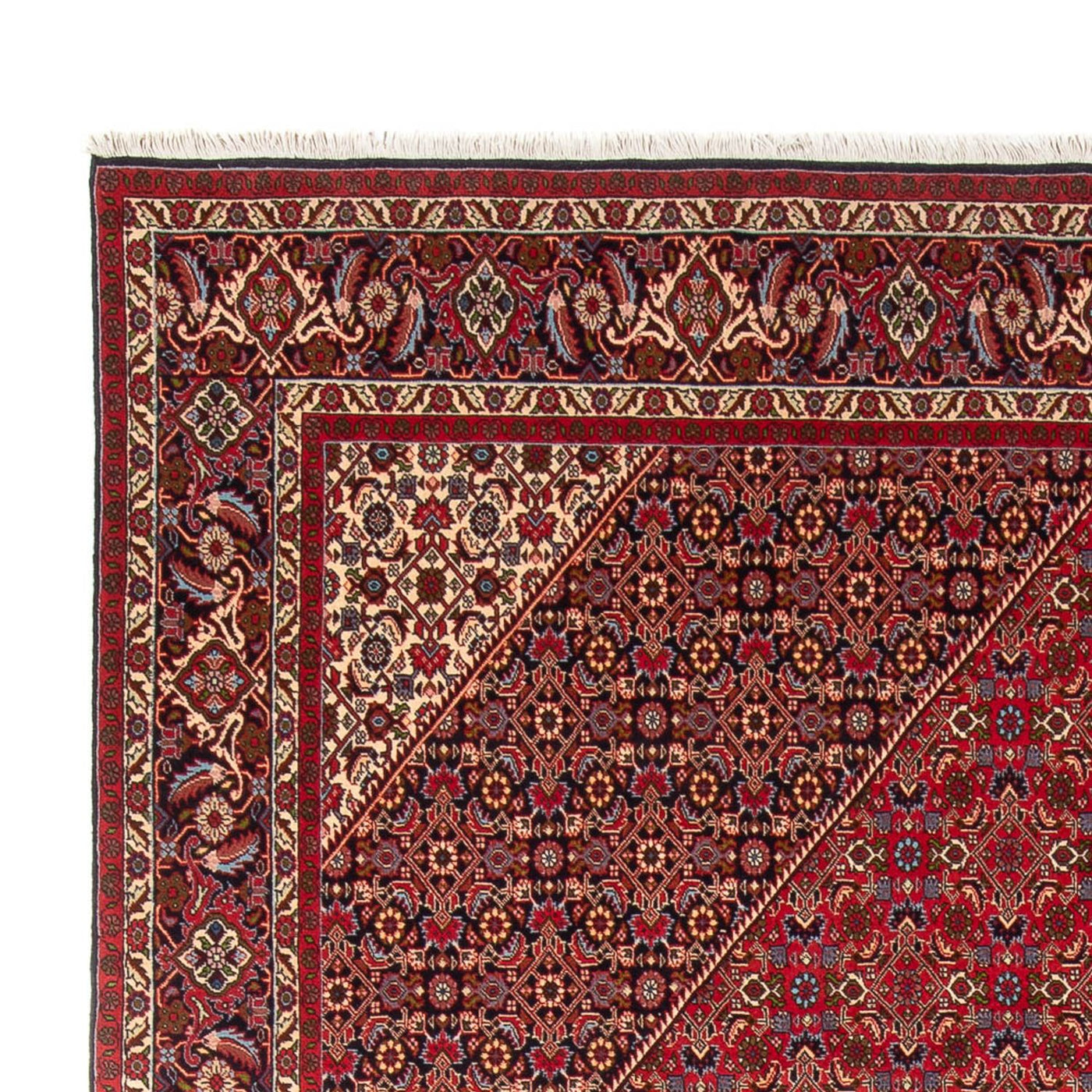 Bidjar - Bukan Tappeto 358x249cm - Tappeto persiano