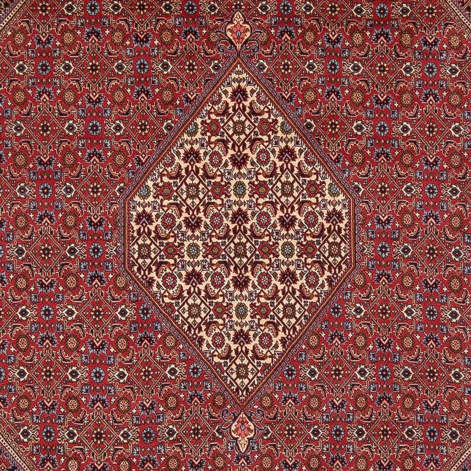 Tappeto Persero - Bidjar - 342 x 249 cm - rosso