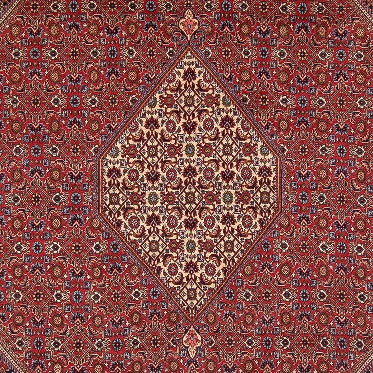 Tappeto Persero - Bidjar - 342 x 249 cm - rosso