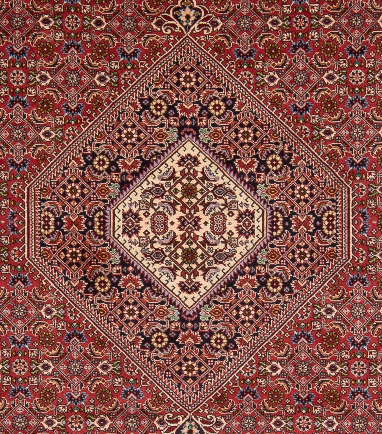 Tappeto Persero - Bidjar - 339 x 249 cm - rosso scuro