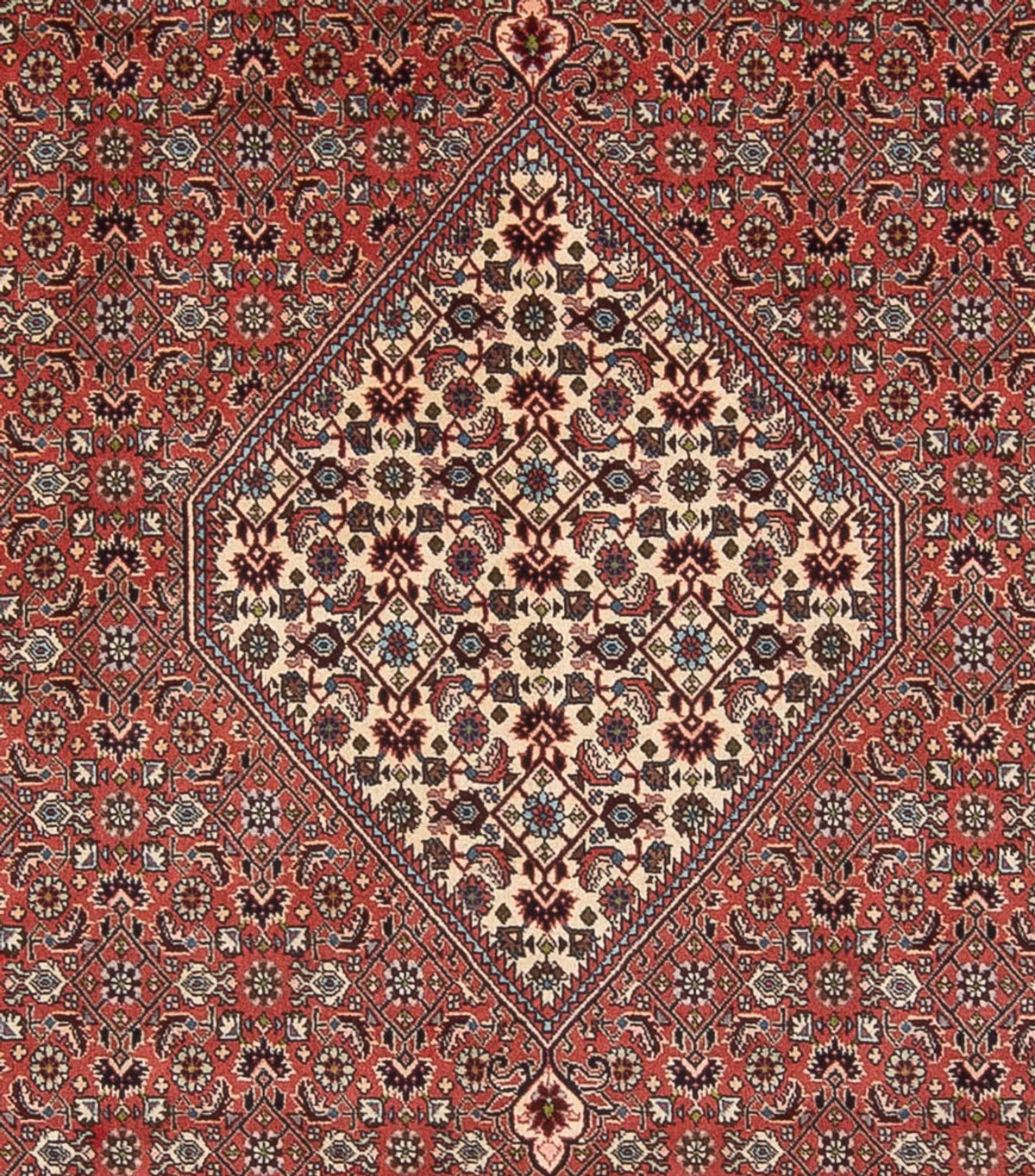 Tappeto Persero - Bidjar - 334 x 248 cm - rosso chiaro