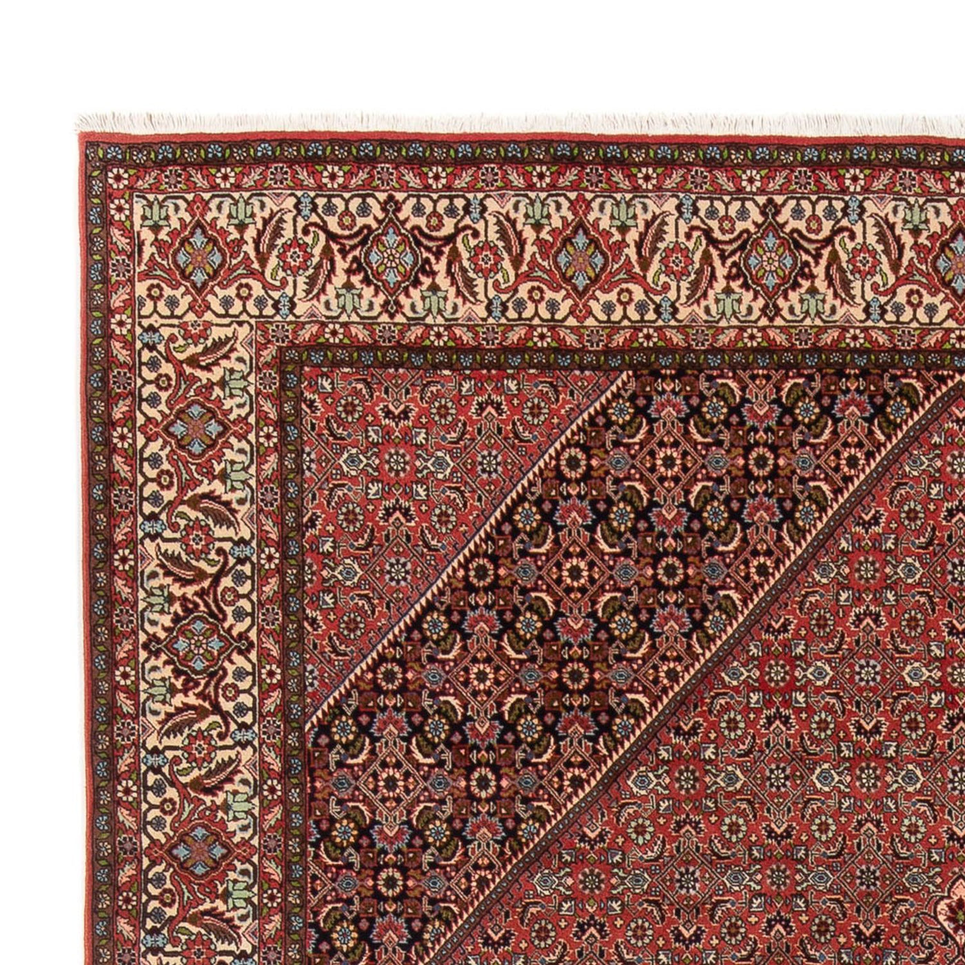 Bidjar - Bukan Tappeto 334x248cm - Tappeto persiano