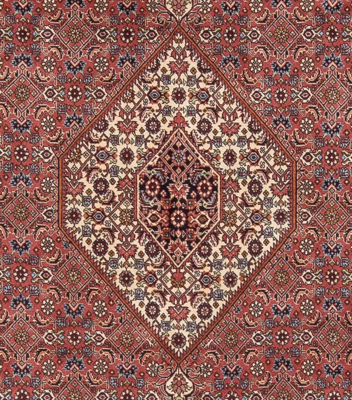 Tappeto Persero - Bidjar - 299 x 244 cm - rosso scuro