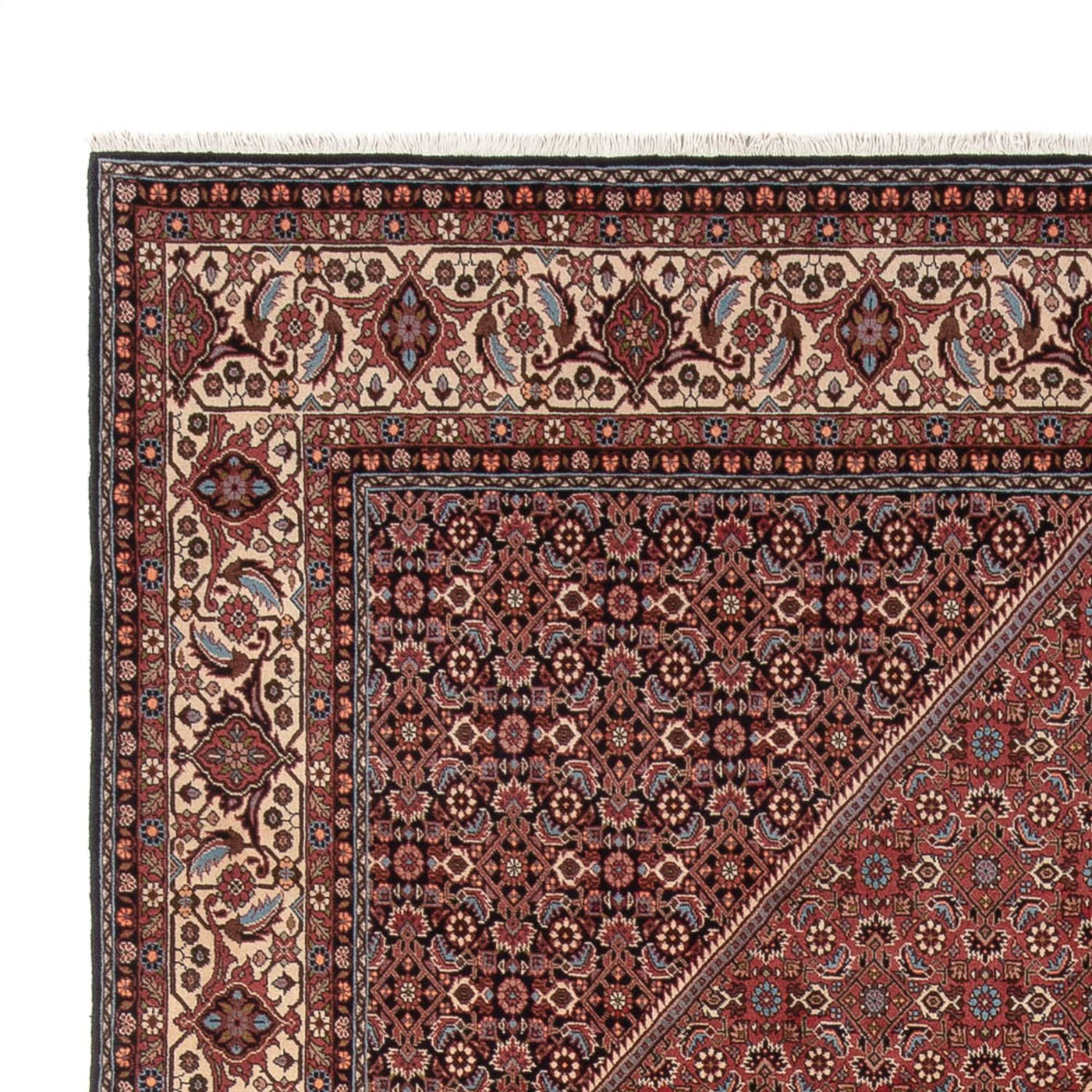 Bidjar - Bukan Tappeto 350x247cm - Tappeto persiano