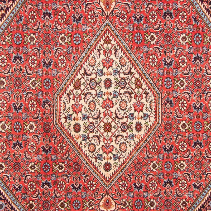 Tappeto Persero - Bidjar - 267 x 200 cm - rosso