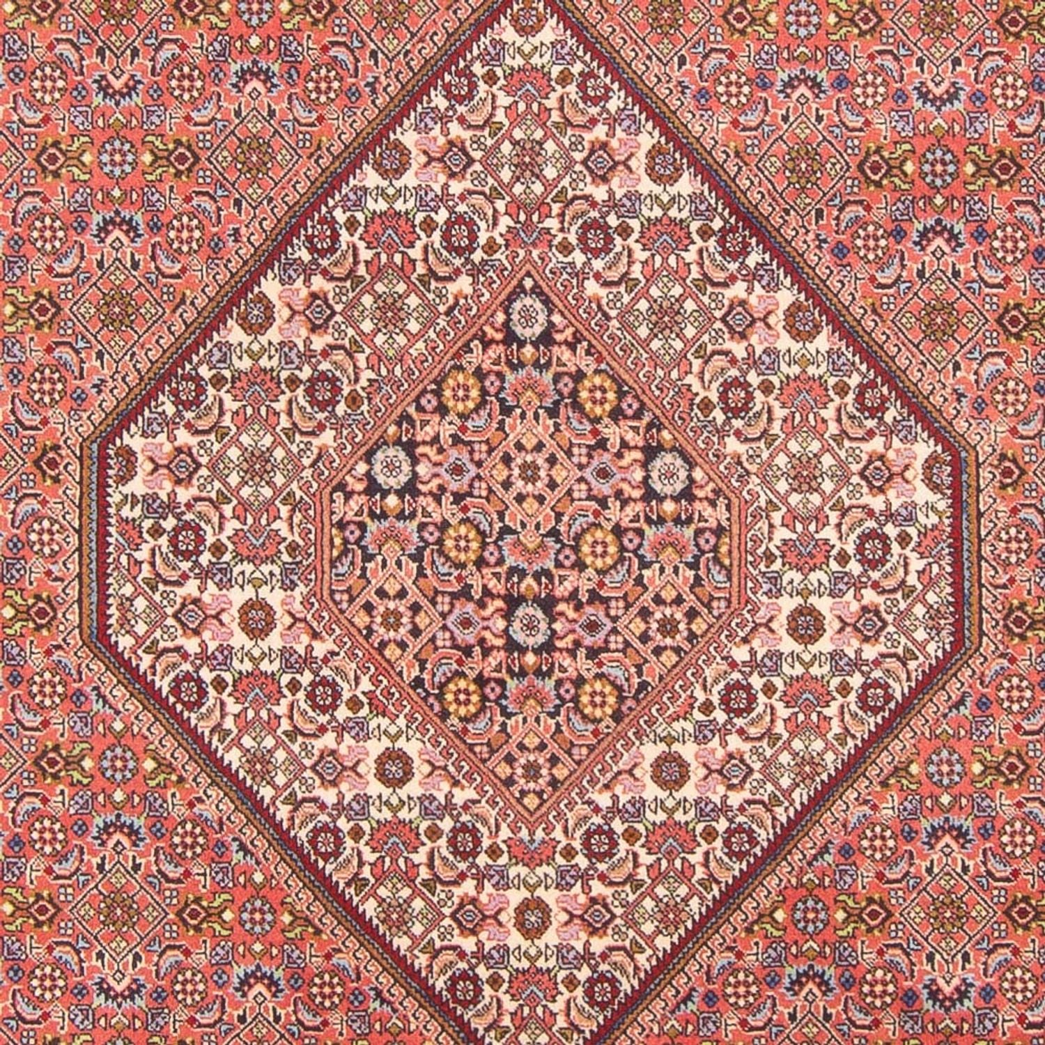 Tappeto Persero - Bidjar - 297 x 198 cm - rosso