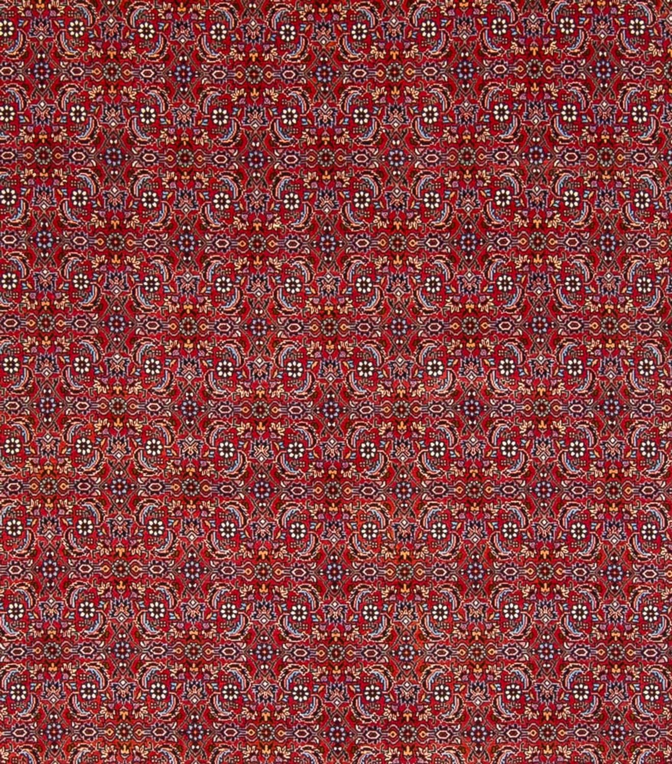 Tappeto Persero - Bidjar - 347 x 254 cm - rosso