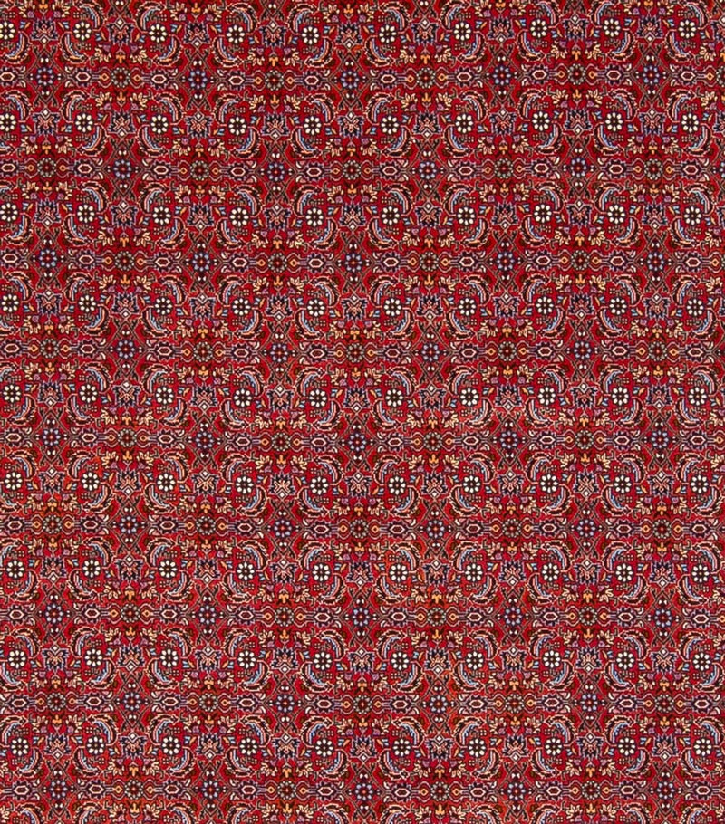 Tappeto Persero - Bidjar - 347 x 254 cm - rosso