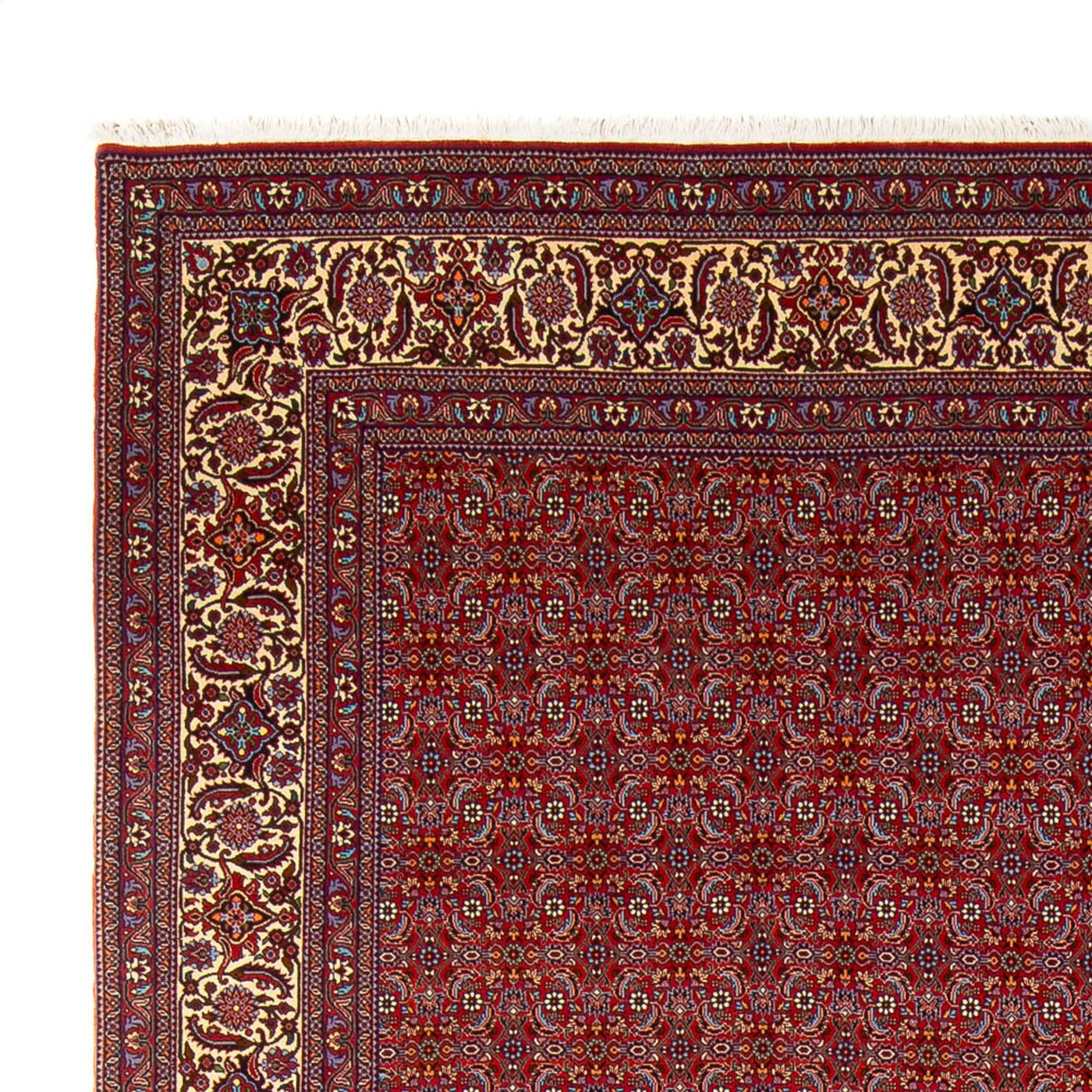 Tappeto Persero - Bidjar - 347 x 254 cm - rosso