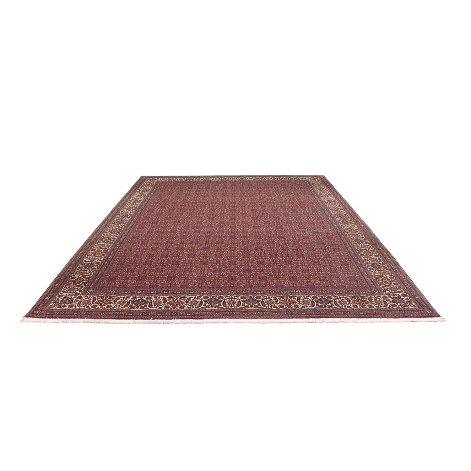 Tappeto Persero - Bidjar - 347 x 254 cm - rosso