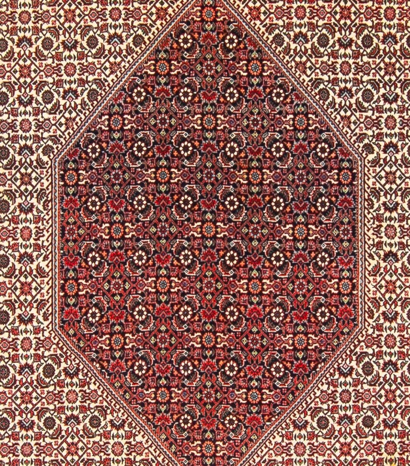 Tappeto Persero - Bidjar - 300 x 253 cm - crema