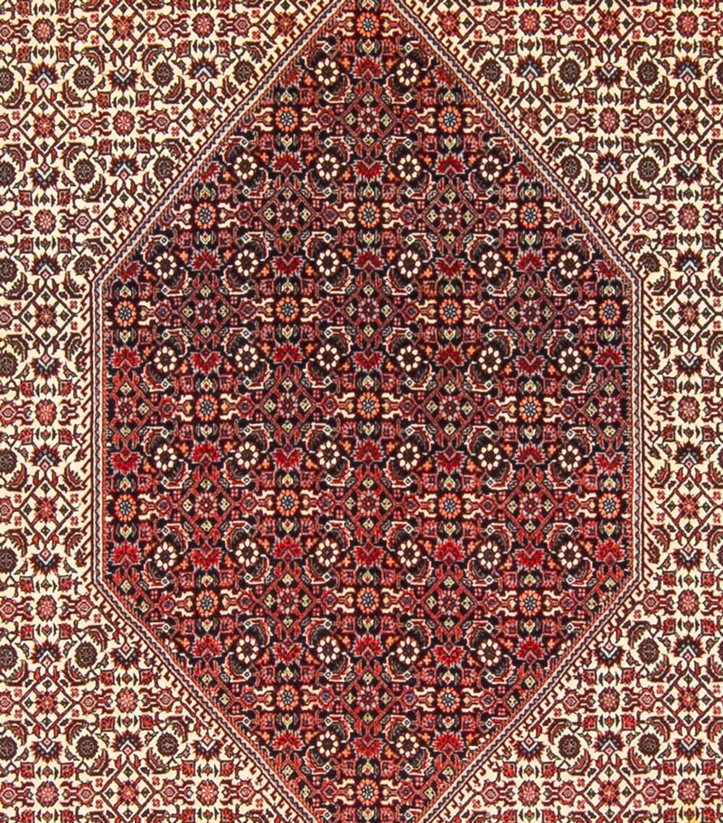 Tappeto Persero - Bidjar - 300 x 253 cm - crema