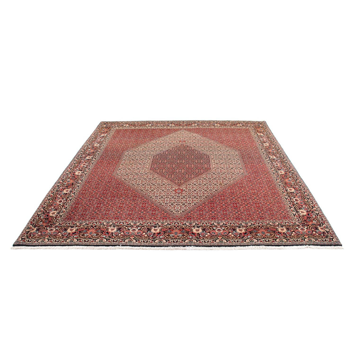 Tappeto Persero - Bidjar - 300 x 253 cm - crema