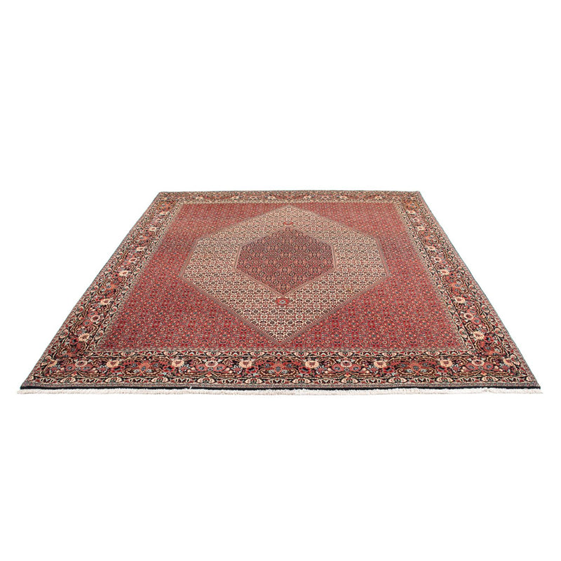 Tappeto Persero - Bidjar - 300 x 253 cm - crema