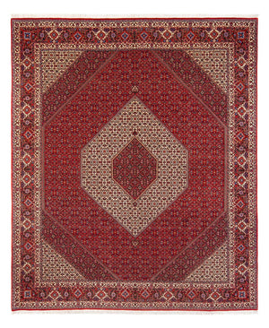 Tappeto Persero - Bidjar - 301 x 253 cm - crema