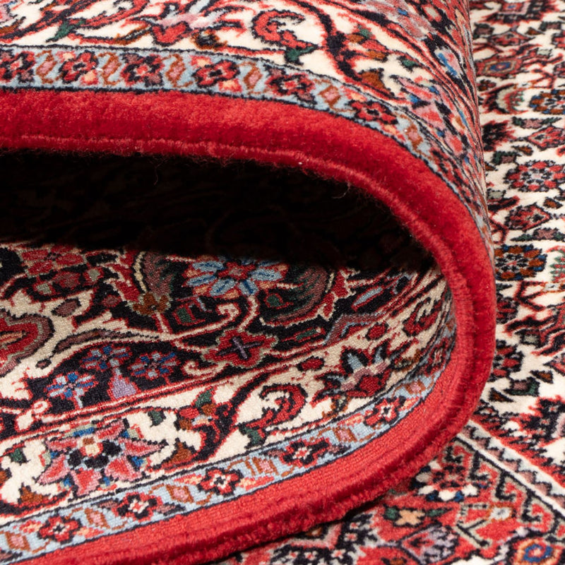 Tappeto Persero - Bidjar - 301 x 253 cm - crema