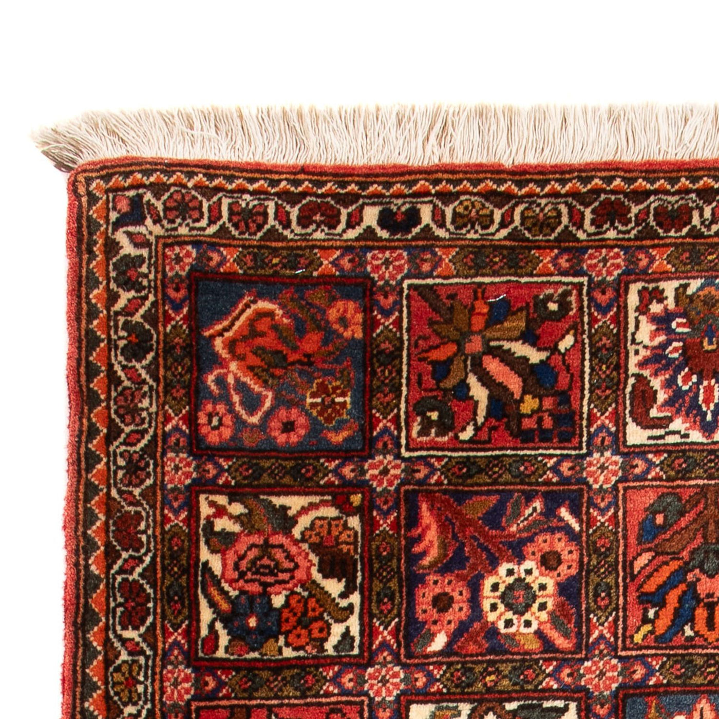 Bakhtiari Tappeto 100x64cm - Tappeto persiano